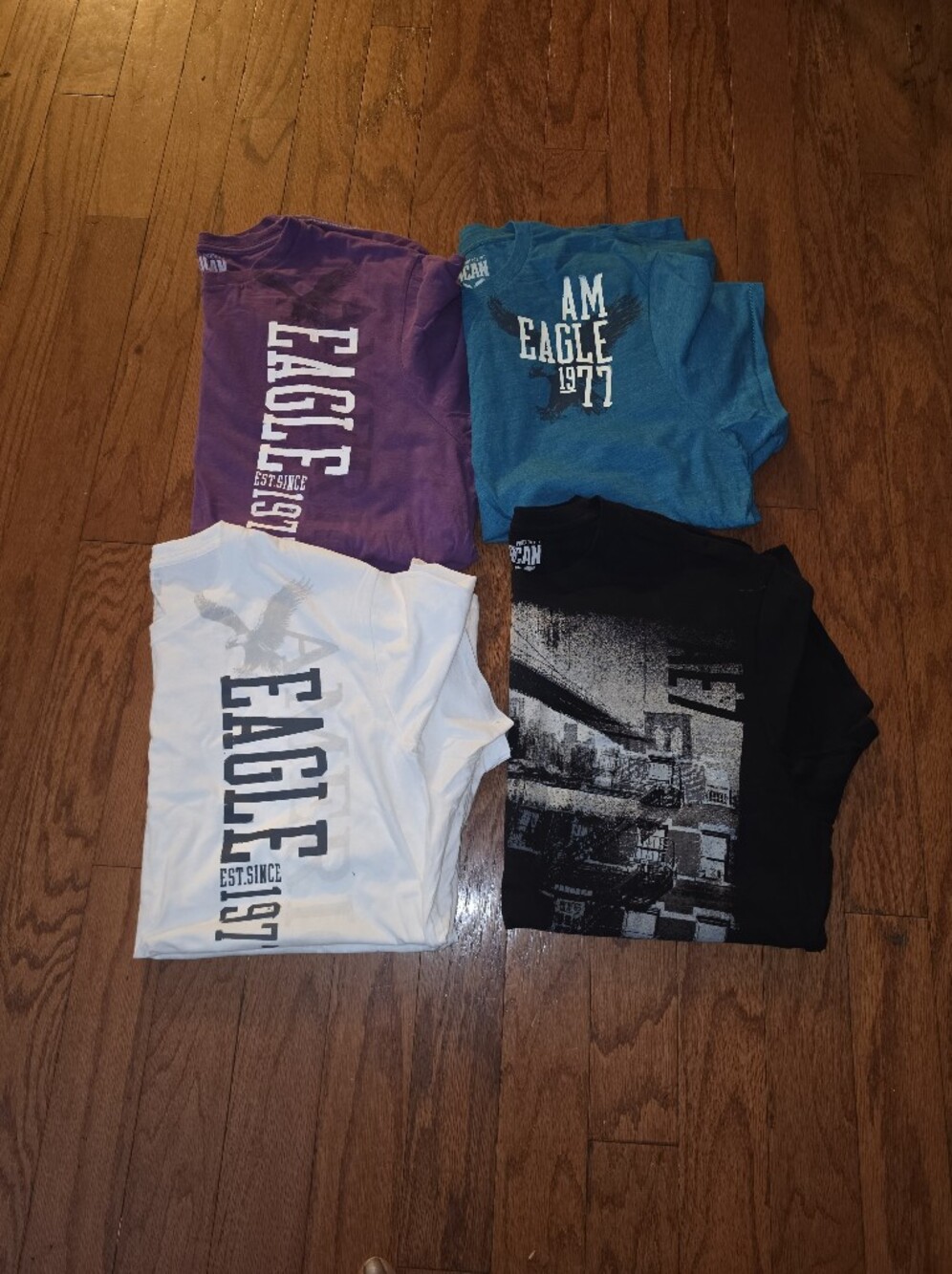 (4) American Eagle Outfitters Graphic Tees
